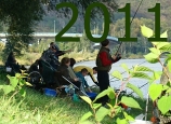 2011