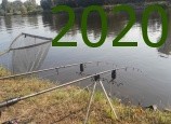 2020
